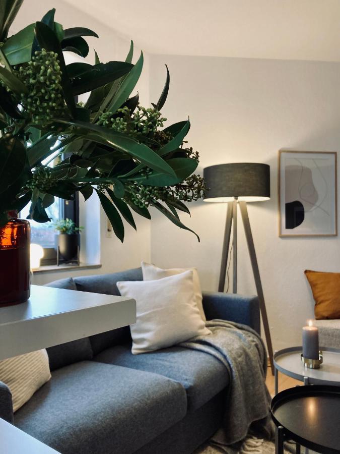 Schickes, Stilvolles Und Helles Apartment In Muenster 外观 照片